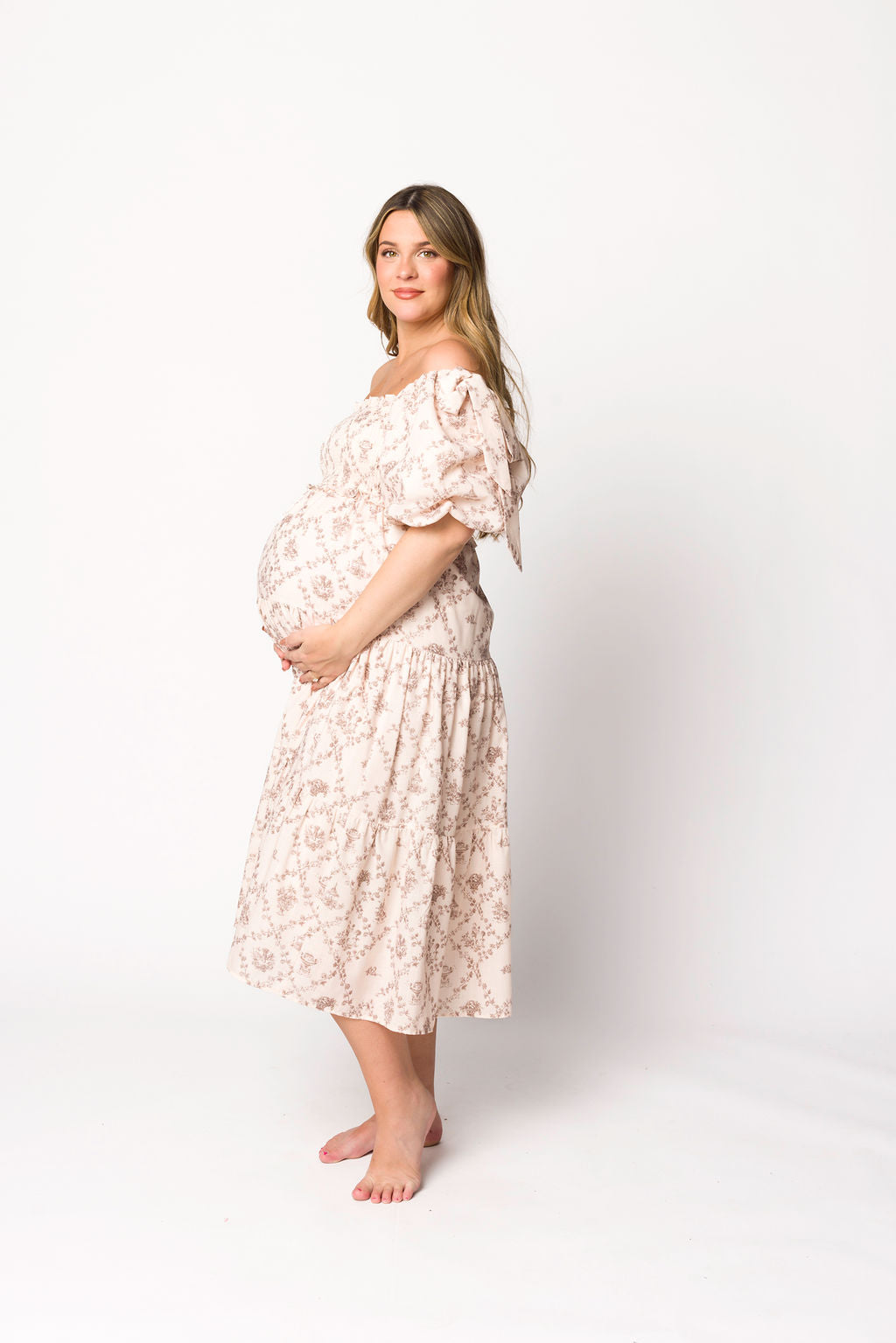 Elena Toile Print Midi Dress