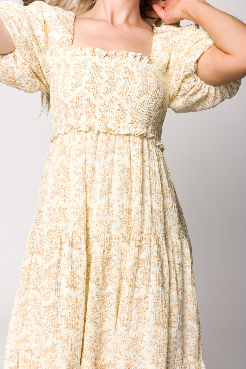 Elena Toile Print Midi Dress