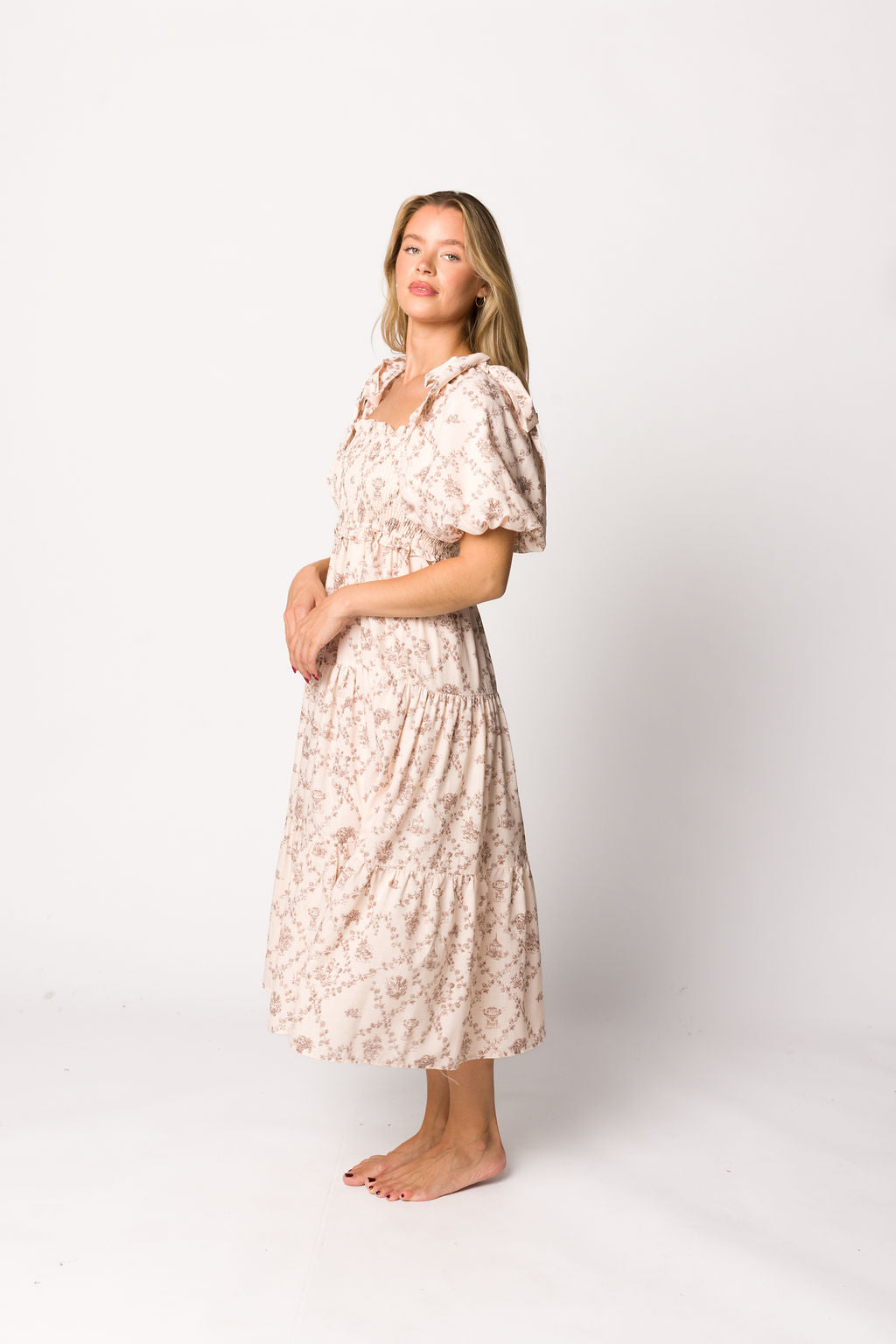 Elena Toile Print Midi Dress